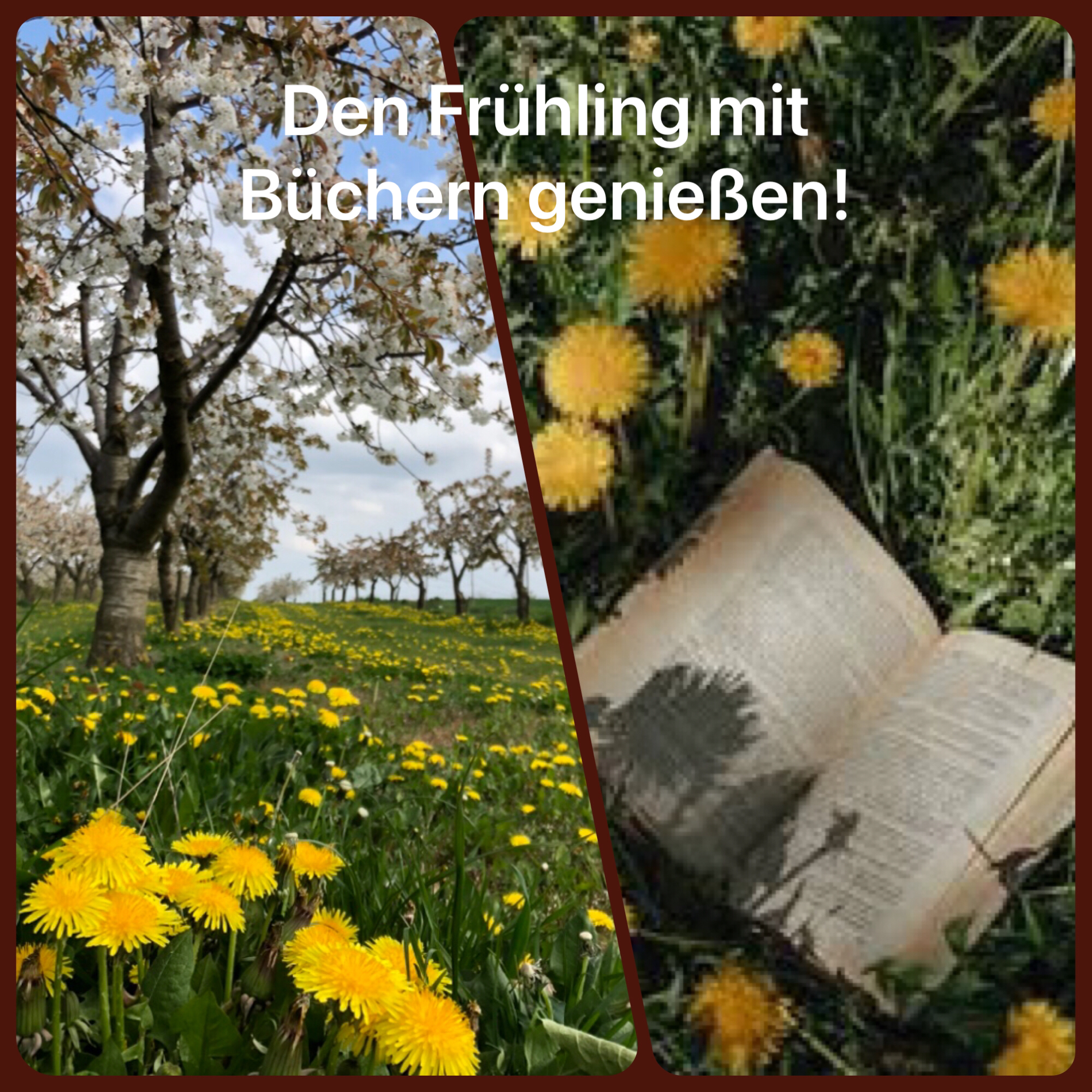 Frühlingsboten (c) Roswitha Briem
